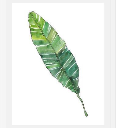 Cuadro HOJA DE PLATANO