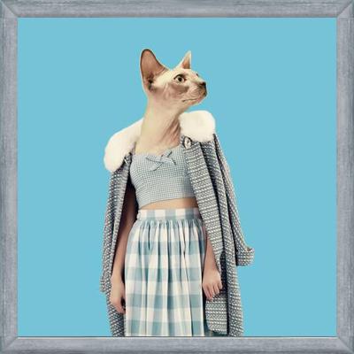 Cuadro Cat
