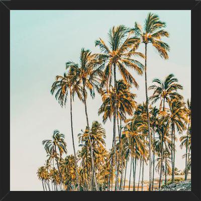 Cuadro Island Life III