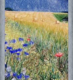 Cuadro Flowery Field
