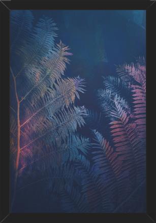 Cuadro Abstract Fern