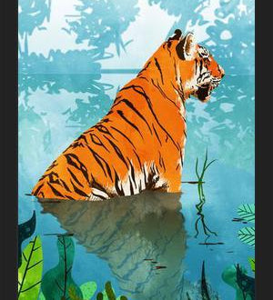 Cuadro Tiger Creek