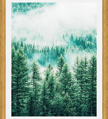 Cuadro Forest and Fog