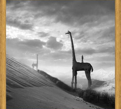 Cuadro Giraffes