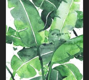 Cuadro Tropical Green 2