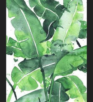 Cuadro Tropical Green 2