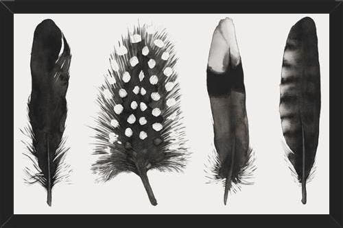 Cuadro Plumas Acuarela