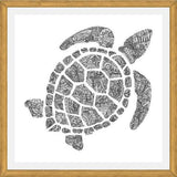 Cuadro Tortuga2