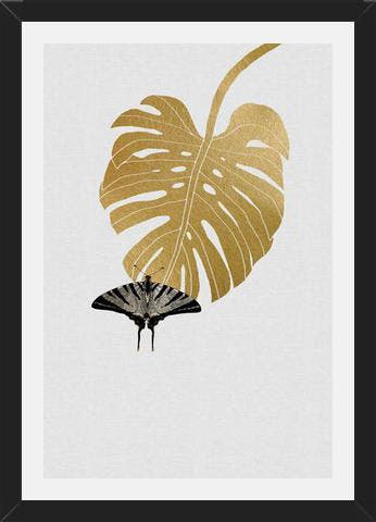 Cuadro Butterfly and Monstera Leaf