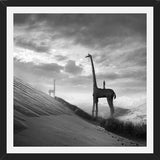 Cuadro Giraffes