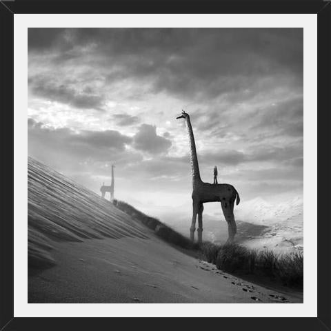 Cuadro Giraffes