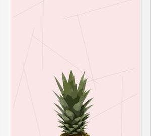 Cuadro Piña?