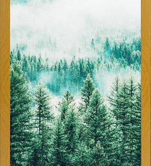 Cuadro Forest and Fog
