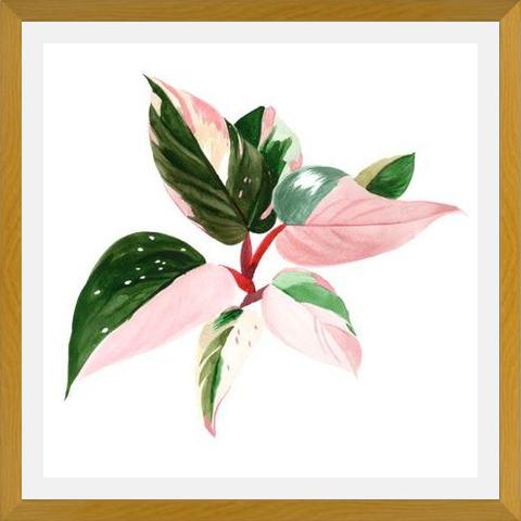 Cuadro pink princess