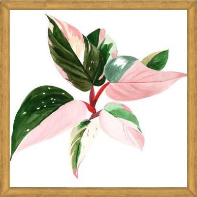 Cuadro pink princess