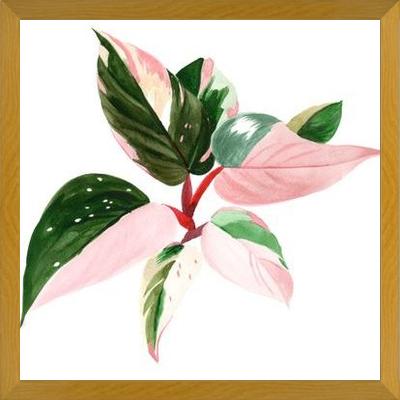 Cuadro pink princess