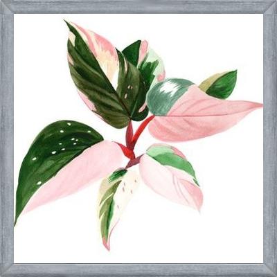 Cuadro pink princess