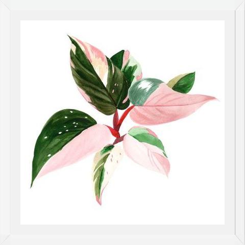 Cuadro pink princess