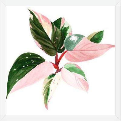 Cuadro pink princess