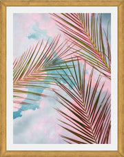 Cuadro Palms + Sky
