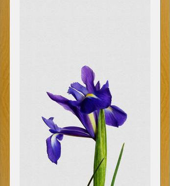Cuadro Iris Still Life