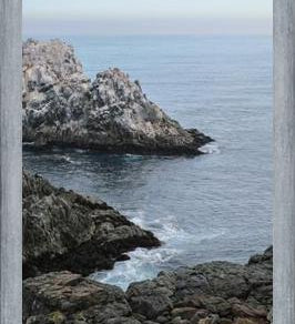 Cuadro PUQUEN II