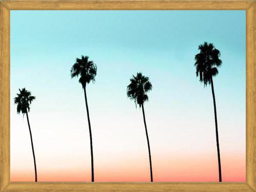 Cuadro Sunset Boulevard