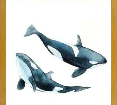 Cuadro Las Orcas