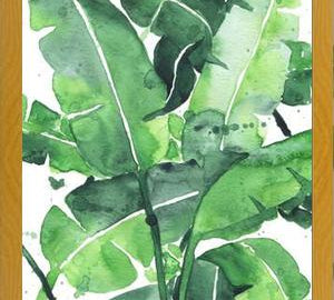 Cuadro Tropical Green 2