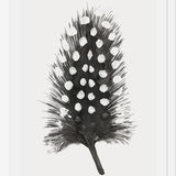 Cuadro Pluma Acuarela 4