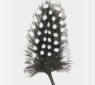 Cuadro Pluma Acuarela 4