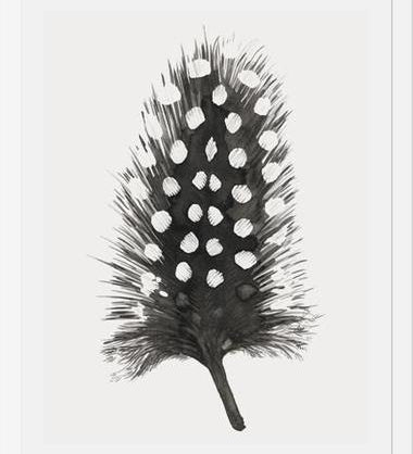 Cuadro Pluma Acuarela 4