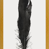 Cuadro Pluma Acuarela 1