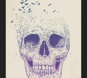 Cuadro Let them Fly