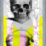Cuadro Skull in Summer