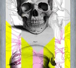 Cuadro Skull in Summer
