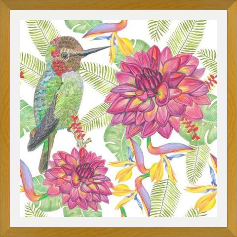 Cuadro Humming Bird White
