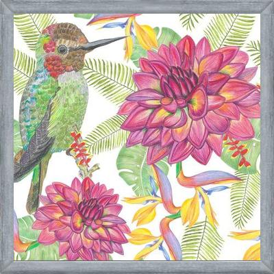 Cuadro Humming Bird White