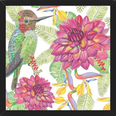 Cuadro Humming Bird White