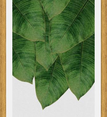 Cuadro Banana Leaf III