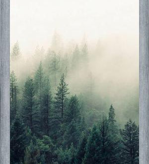 Cuadro The Fog And The Forest II