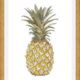 Cuadro PIÑA