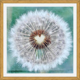 Cuadro Dandy Heart