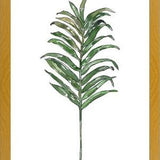 Cuadro Hoja Palma