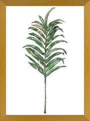 Cuadro Hoja Palma