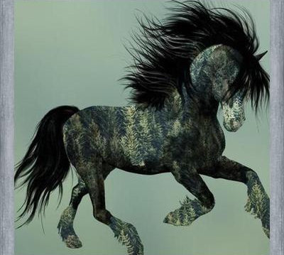 Cuadro Horse Exposure