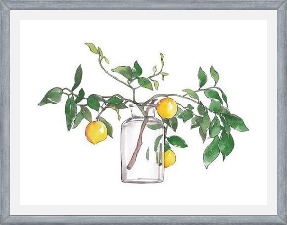 Cuadro Lemon Branch