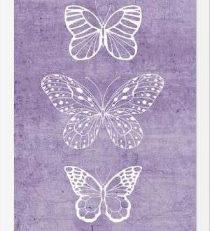 Cuadro Mariposas