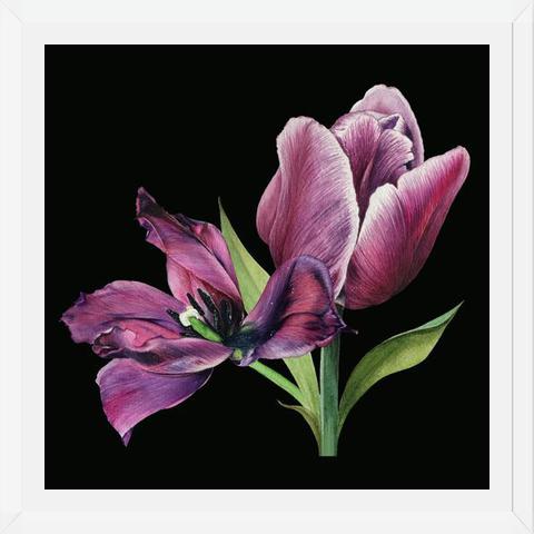 Cuadro Pareja de tulipanes