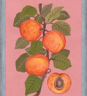 Cuadro Peaches